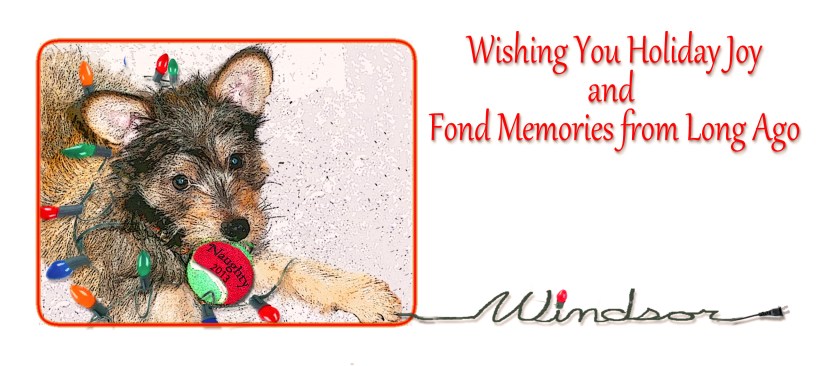 Christmas card of puppy