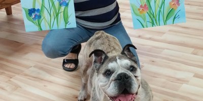 Dog paw painting on canvas