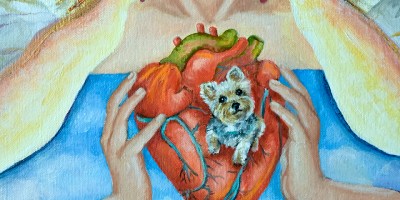 image of Desiree dog embedded in heart