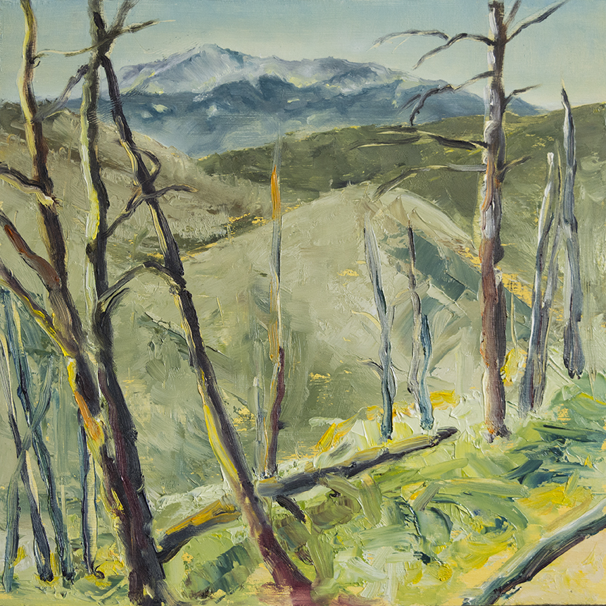 Painting of Pikes peak and burnt aspen trees
