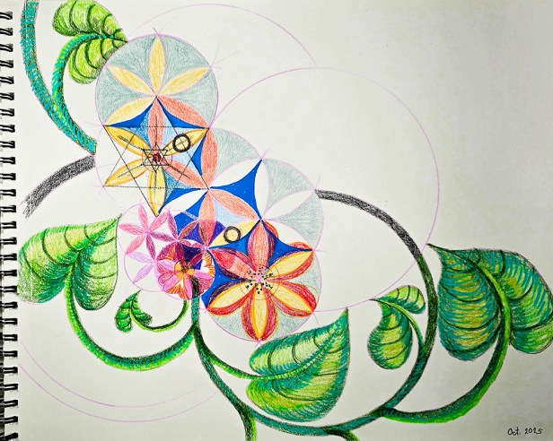 geometrically drawn flowers and vines