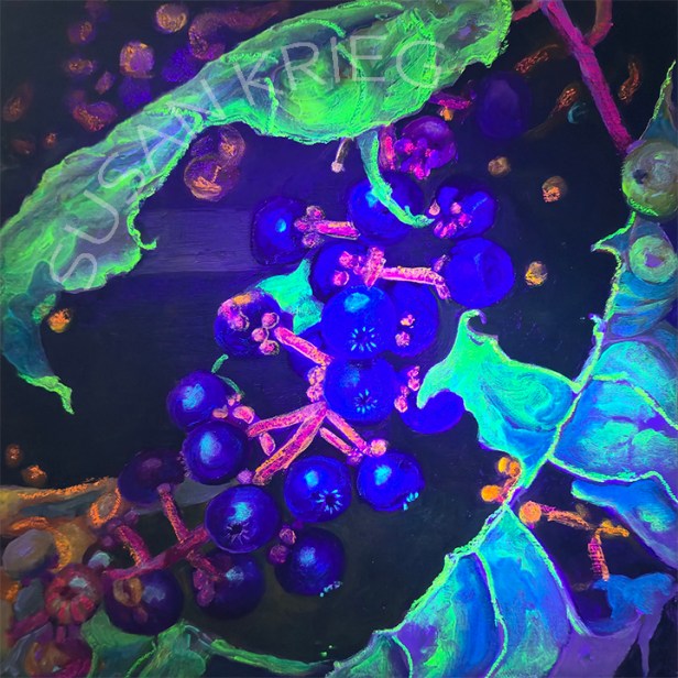A vibrant and colorful artwork depicting clusters of grapes with green leaves, using bright and bold colors against a dark background.