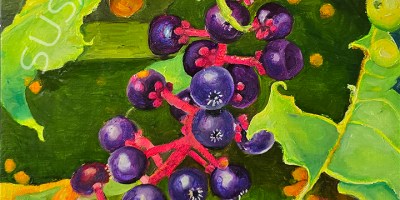 painting of pokeweed berries on a bush.