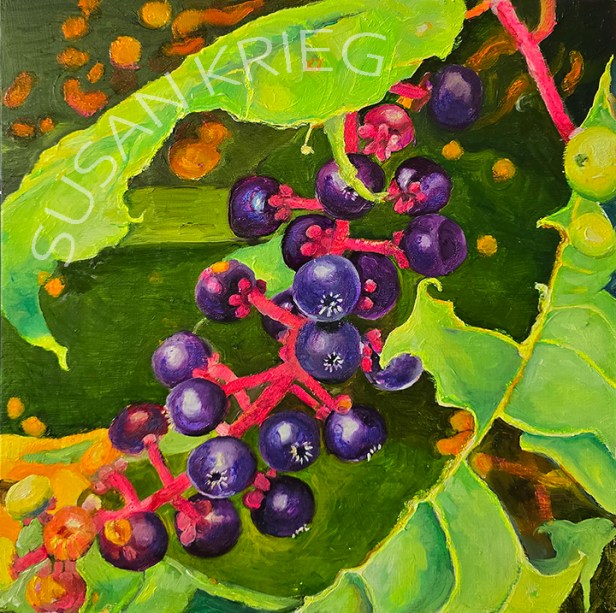 painting of pokeweed berries on a bush.