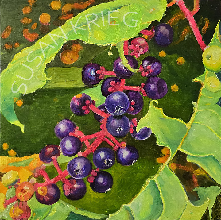 painting of pokeweed berries on a bush.
